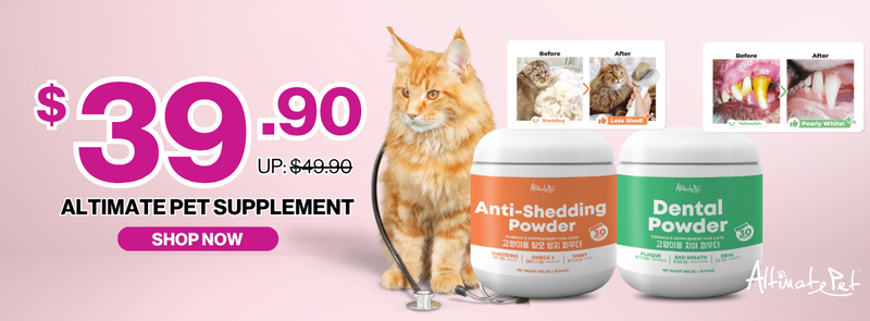 1240_x_458_px_of_Boughtnex_Domain_4 - Powerpets