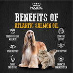 Absolute Holistic Wild Salmon Fish Oil 250ml