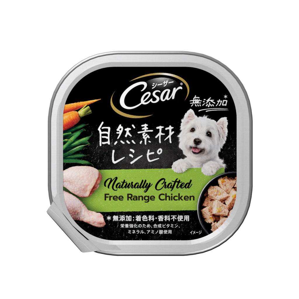 Cesar Wet Food for Dogs 85g/100g