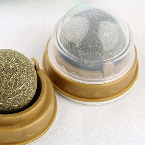 Hypoallergenic Organic Catnip Ball Cat Toy