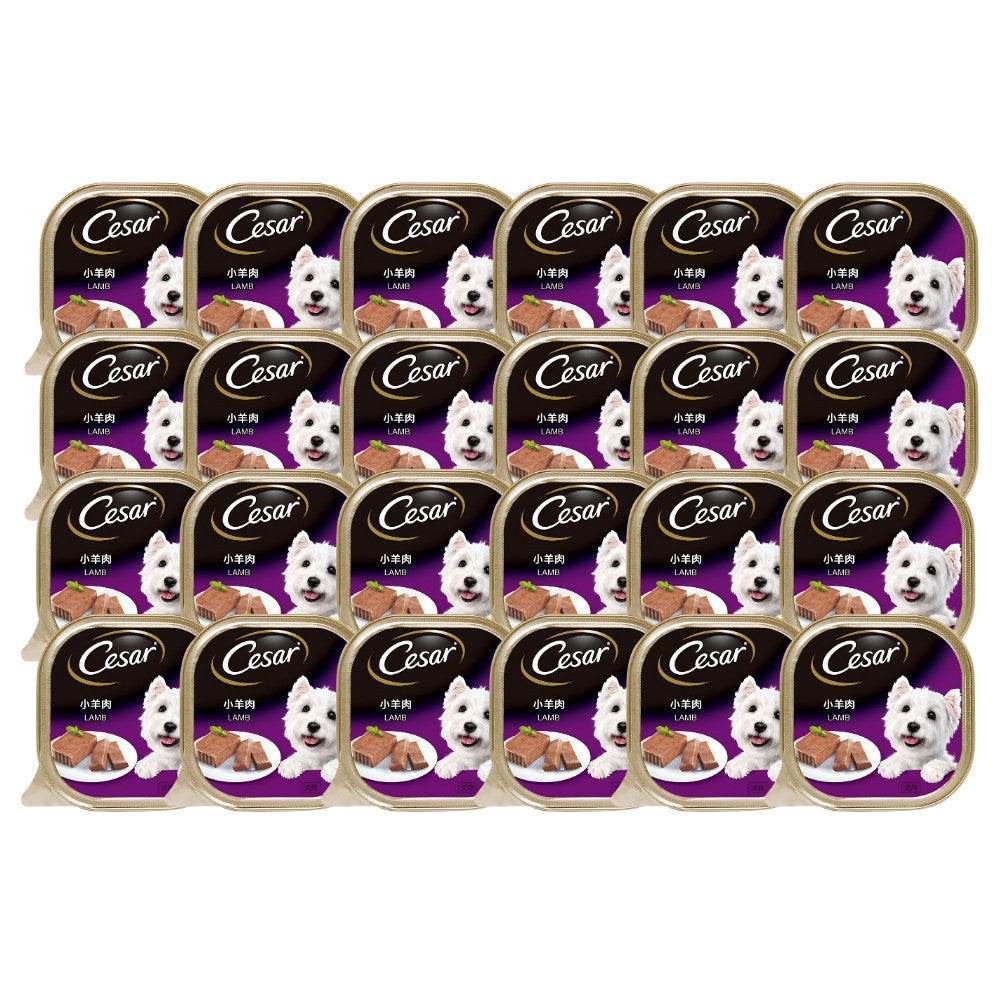 Cesar Dog Tray Wet Food Lamb