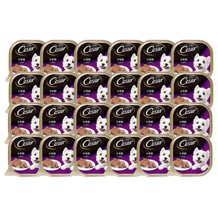 Cesar Dog Tray Wet Food Lamb