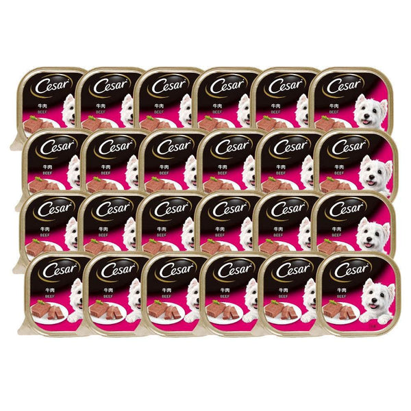 Cesar Dog Tray Wet Food