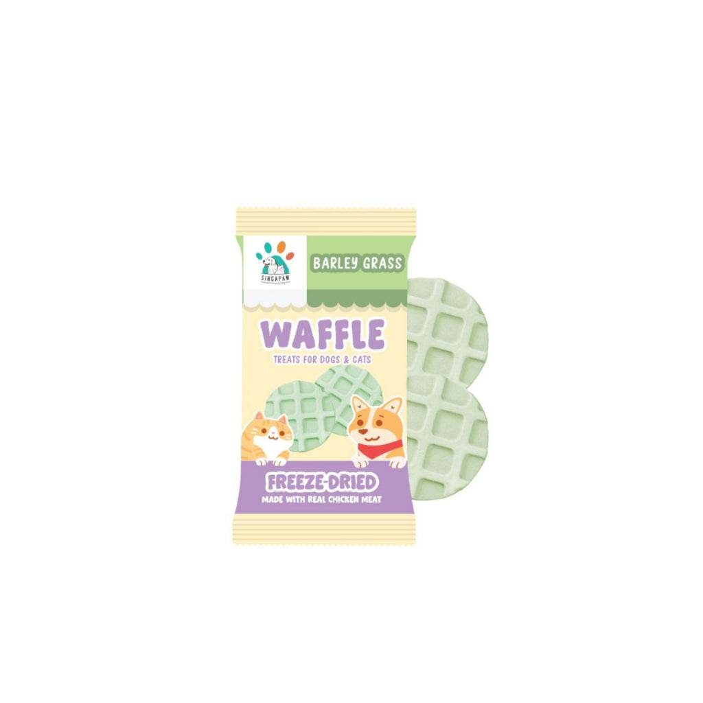 Singapaw Freeze Dried Ice Cream, Waffle & Muffin