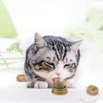 Hypoallergenic Organic Catnip Ball Cat Toy