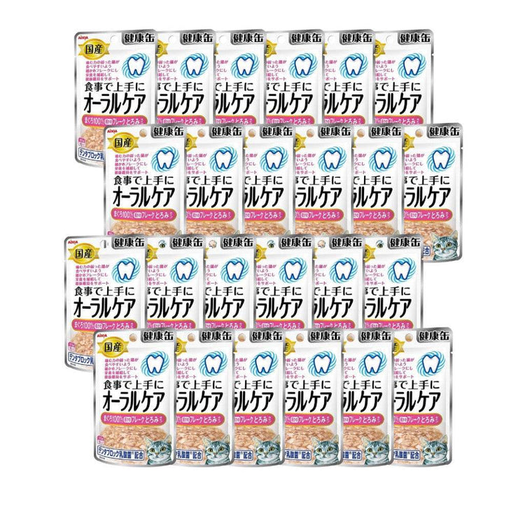 Bundle of 24 Aixia Kenko Pouch For Cat KZJ10 TunaFlakeSauce